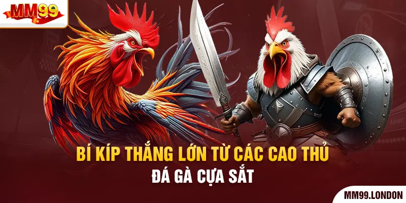 Đá Gà Cựa Sắt - Thể Loại Kê Chiến Mà Bạn Không Nên Bỏ Qua Bí kíp thắng lớn từ các cao thủ đá gà cựa sắt