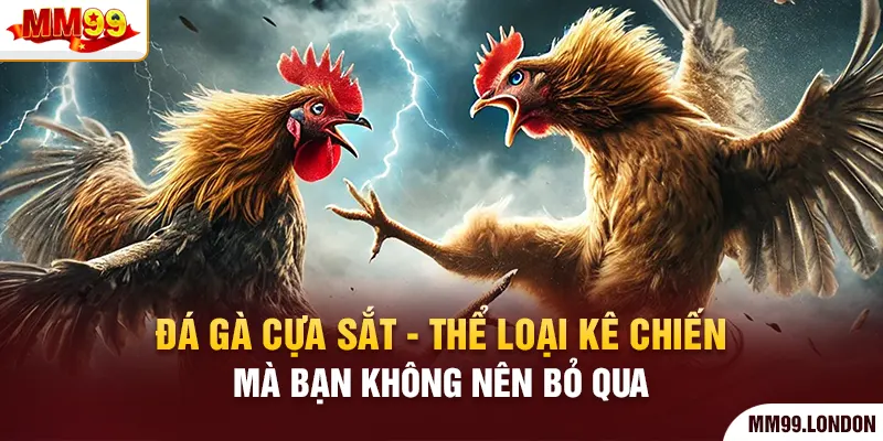 Đá Gà Cựa Sắt - Thể Loại Kê Chiến Mà Bạn Không Nên Bỏ Qua