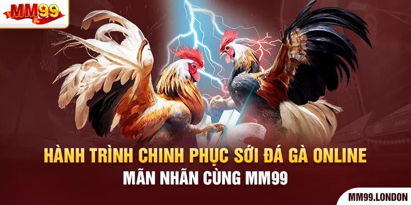 Hành Trình Chinh Phục Sới Đá Gà Online Mãn Nhãn Cùng Mm99
