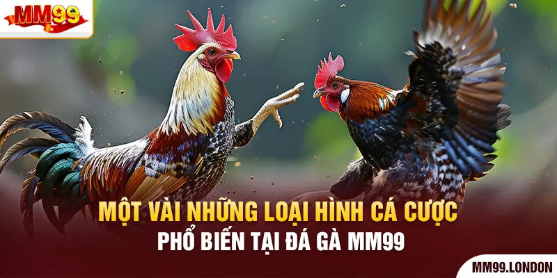 Một vài những loại hình cá cược phổ biến tại đá gà mm99