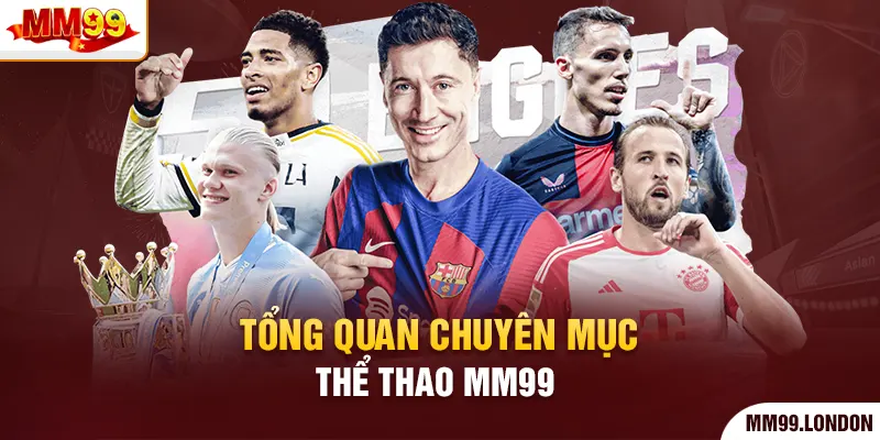 Tổng quan chuyên mục thể thao mm99